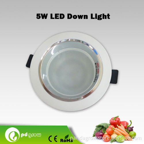 COB LED Down Light High Quality 5W LED Downlight
